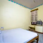 Hotel Raman Palace