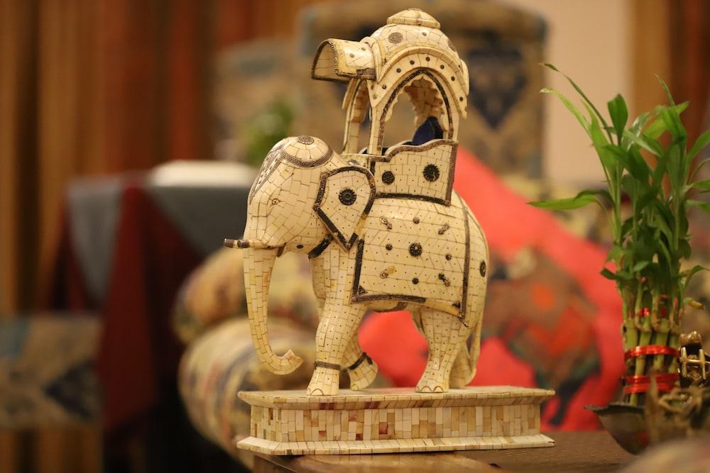 The Kothi Heritage Hotel