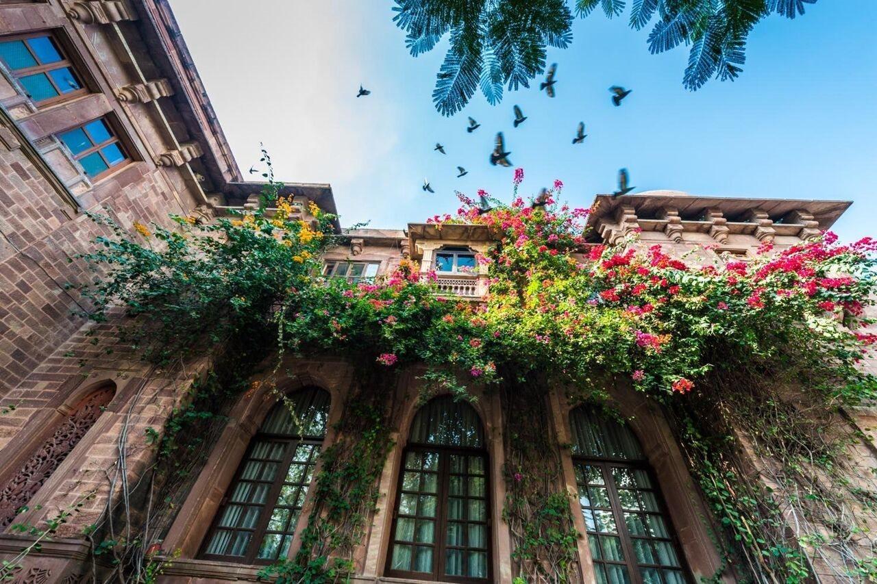 Hotel Ranbanka Jodhpur (Rajasthan)