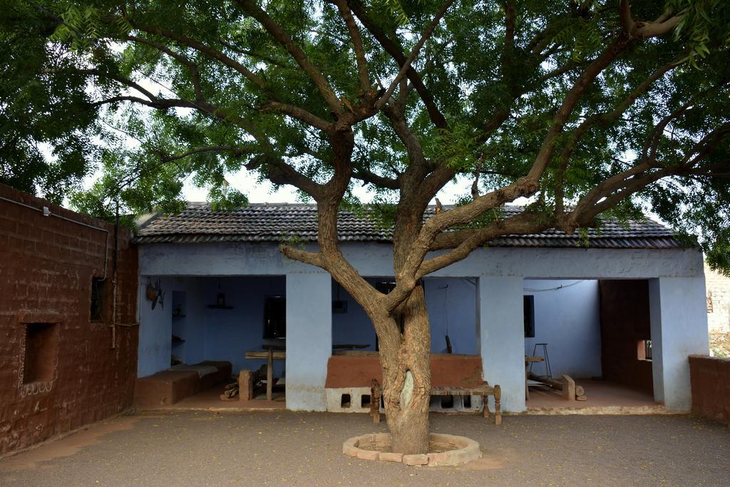 Chhotaram Prajapat Jodhpur (Rajasthan)