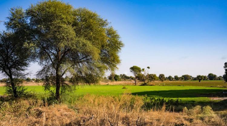 Villa Ananya Farms Paradise Jodhpur (Rajasthan)