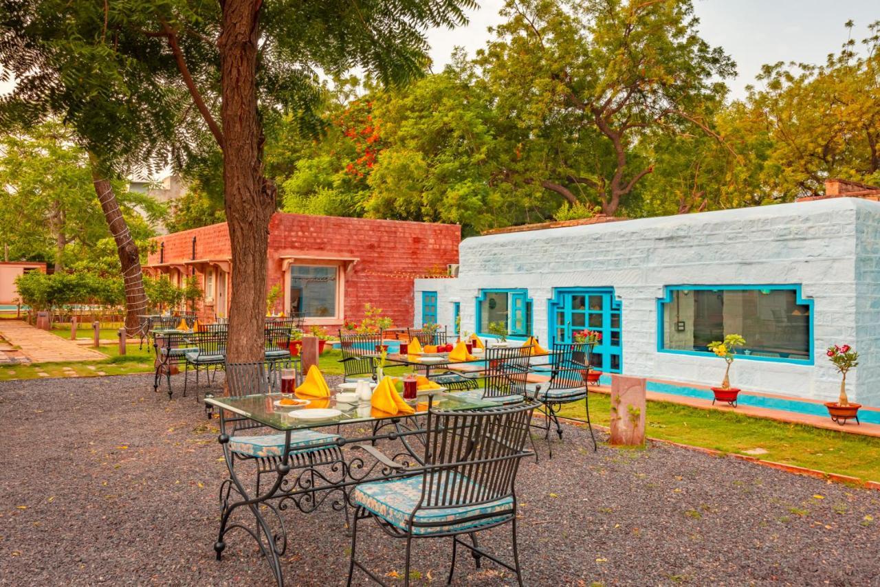 Tree Of Life Bhadrajun House, Jodhpur Hotel Jodhpur (Rajasthan)
