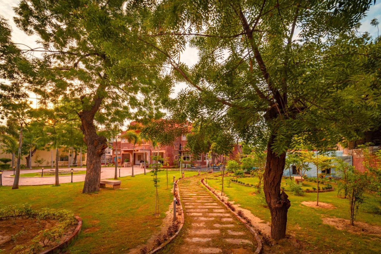 Hotel Tree Of Life Bhadrajun House, Jodhpur