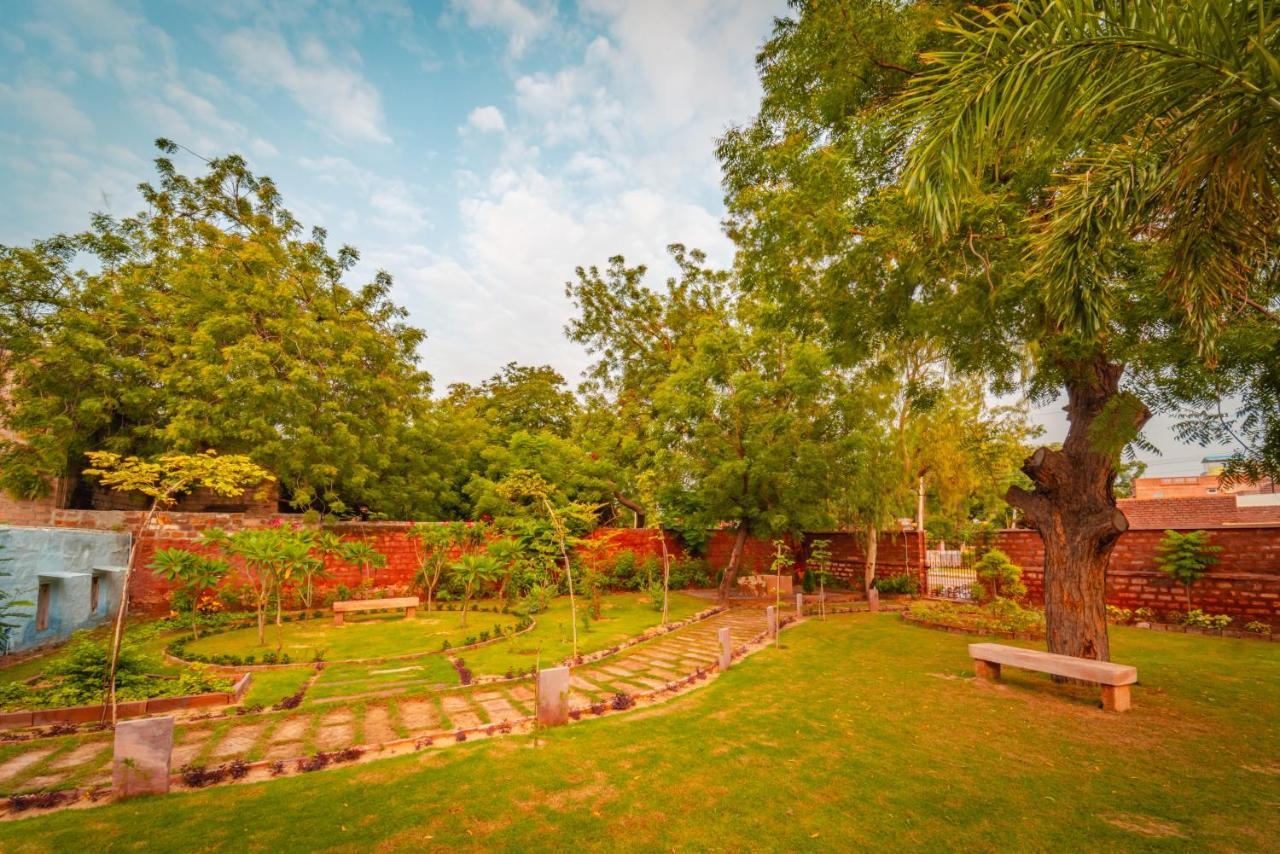 Tree Of Life Bhadrajun House, Jodhpur Hotel