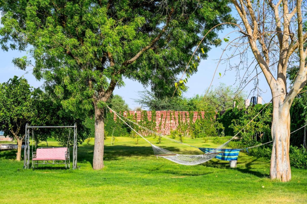 Farm Jodhpur Villa