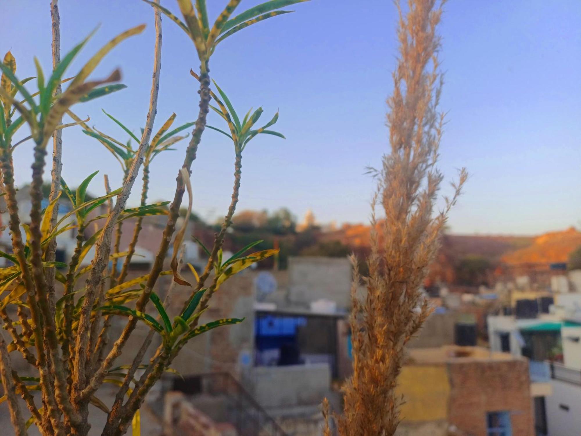 The Mehran Way Homestay Jodhpur (Rajasthan)