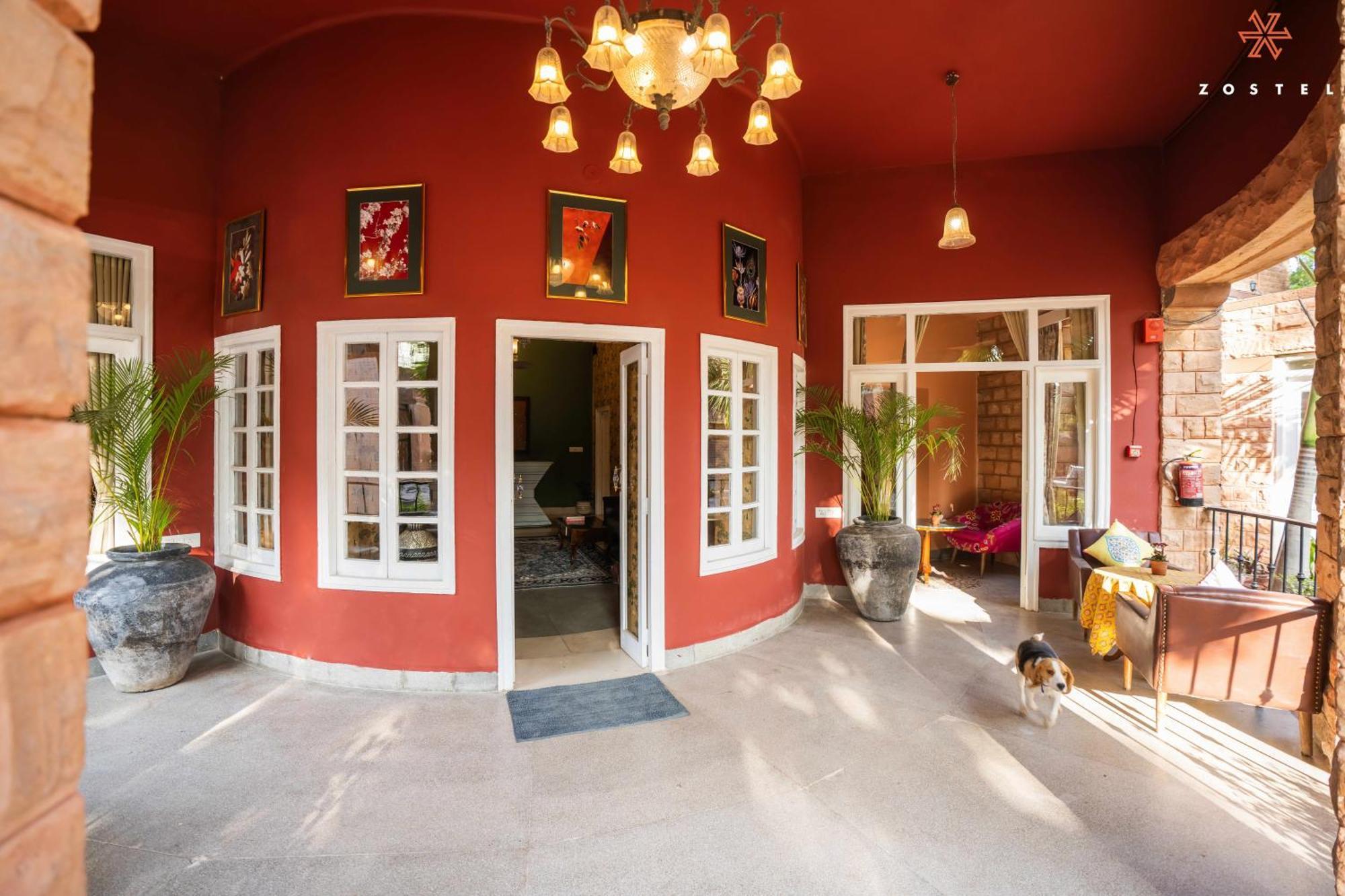 Zostel Jodhpur Hostel *