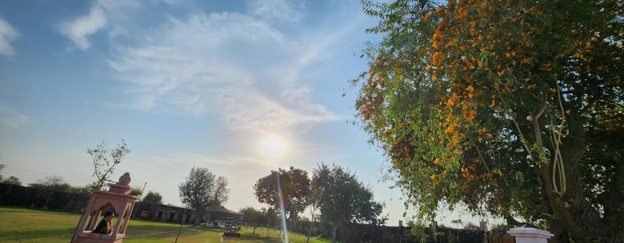 Farm Jodhpur *