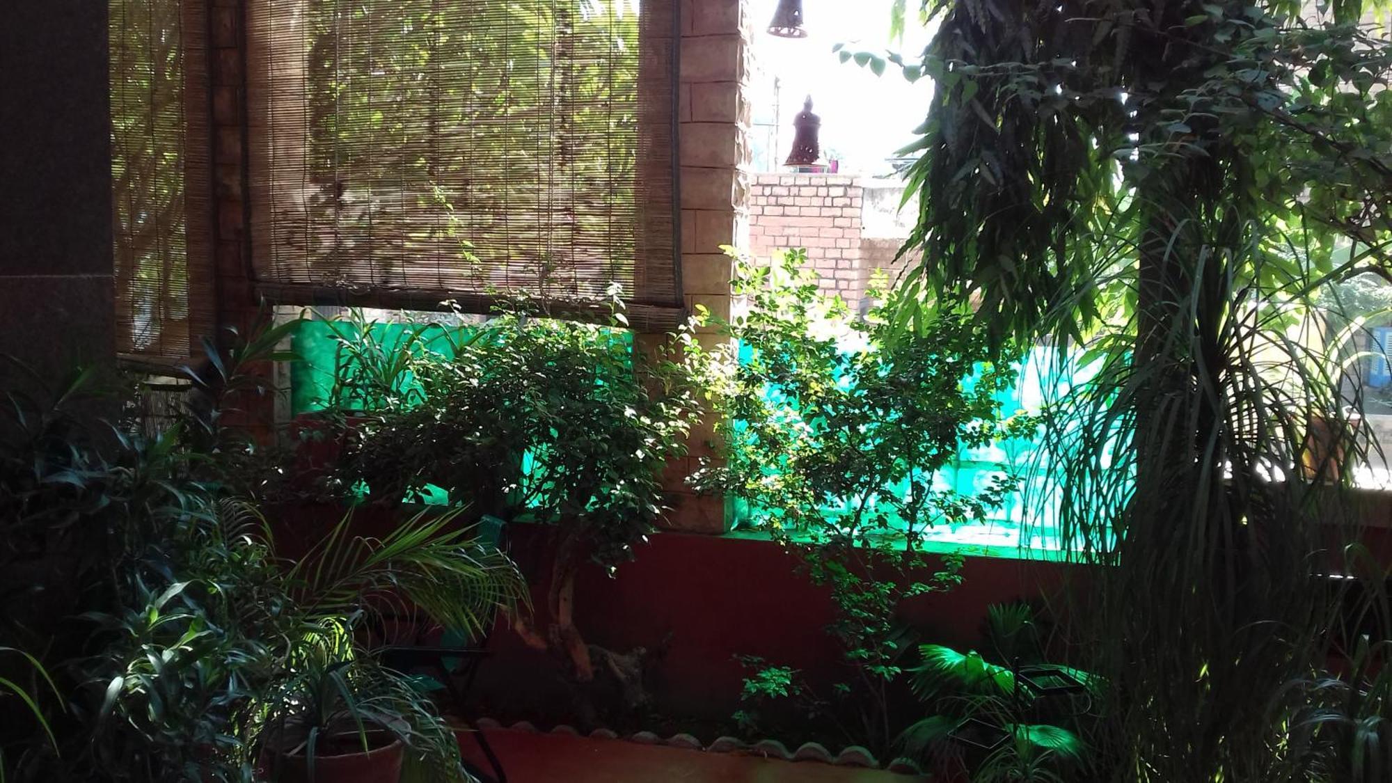Homestay 
