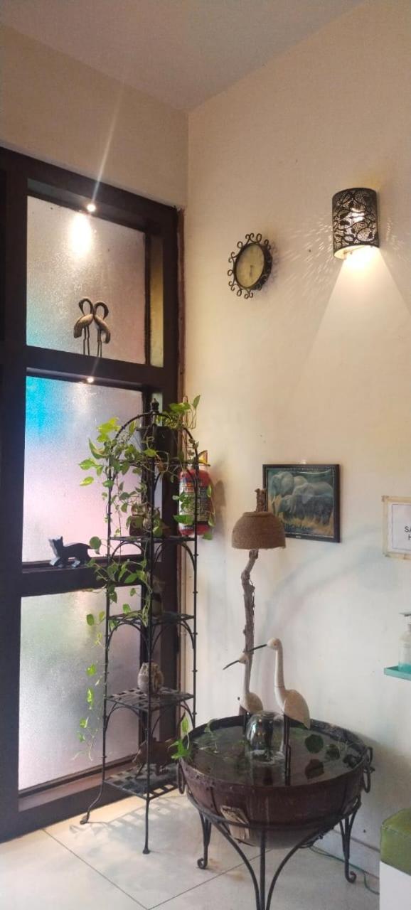 Rangbaari & Cafe