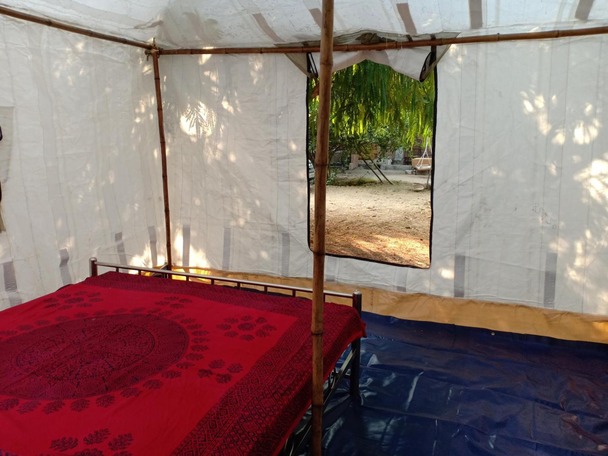 Nature Trail Camps & Jodhpur (Rajasthan)