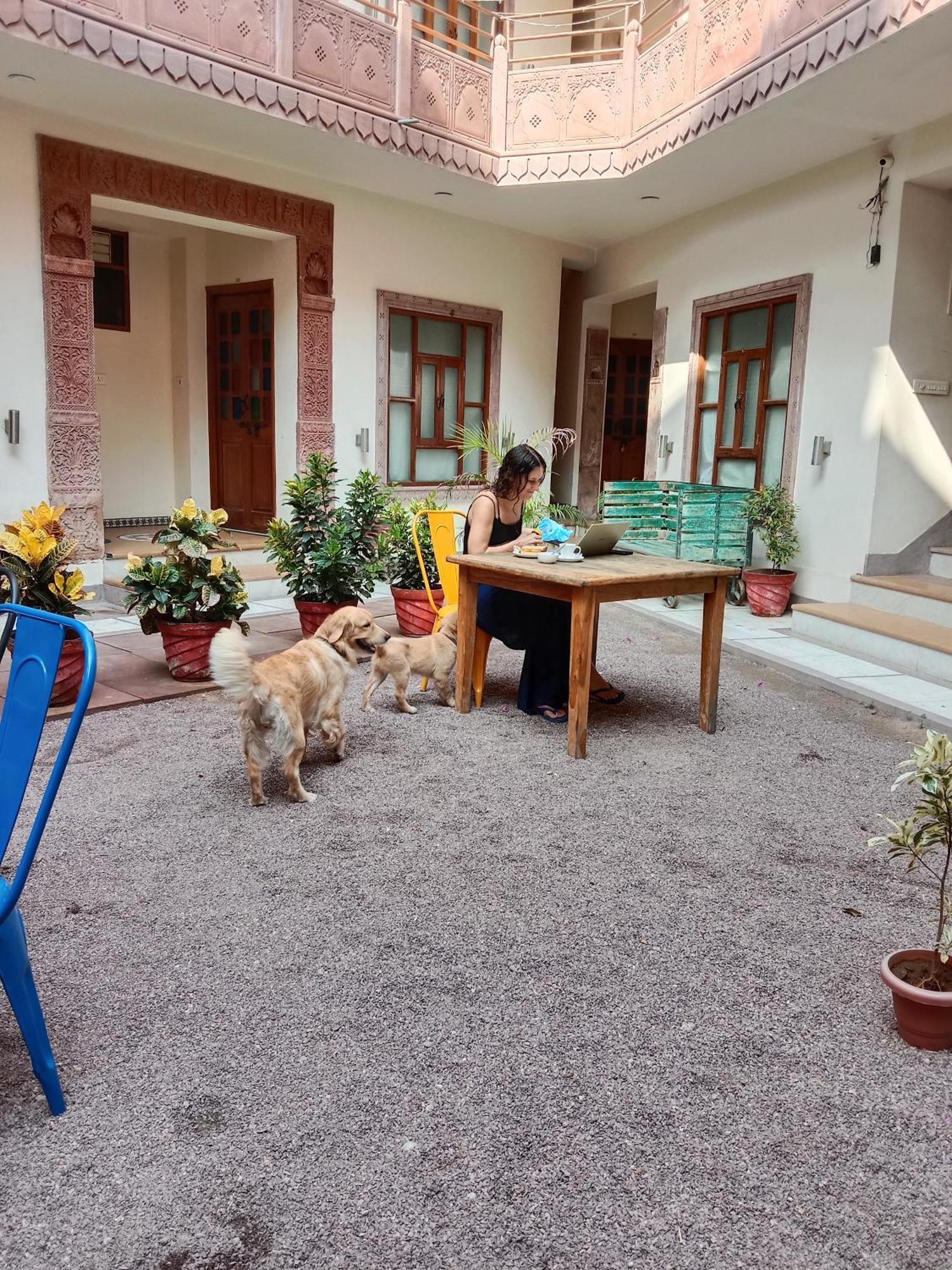 Hotel Rigmor Haveli Jodhpur (Rajasthan)