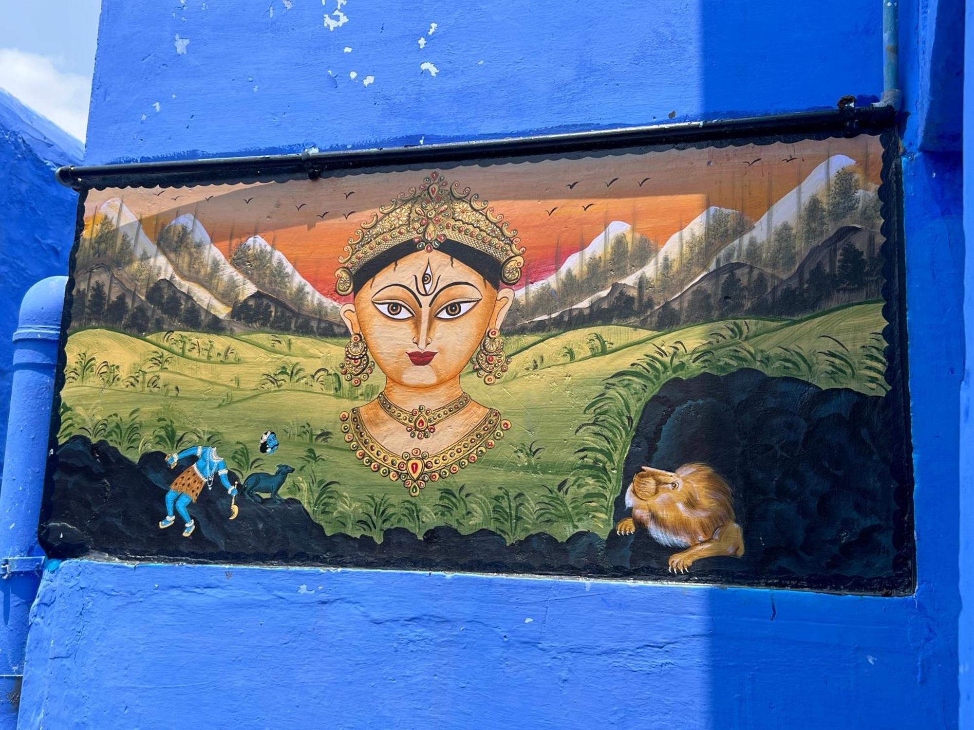 Cosy Jodhpur (Rajasthan)