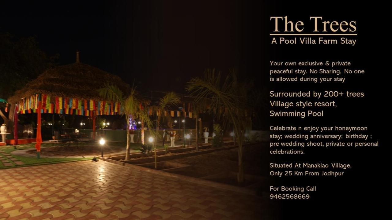 Holiday home The Trees - A Pool Farm Jodhpur (Rajasthan)