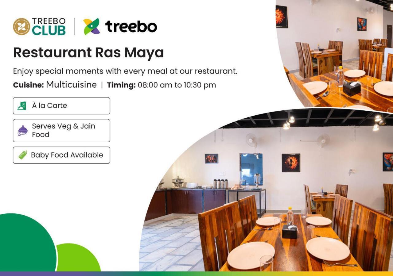 Hotel Treebo Blu Vvu Jodhpur (Rajasthan)