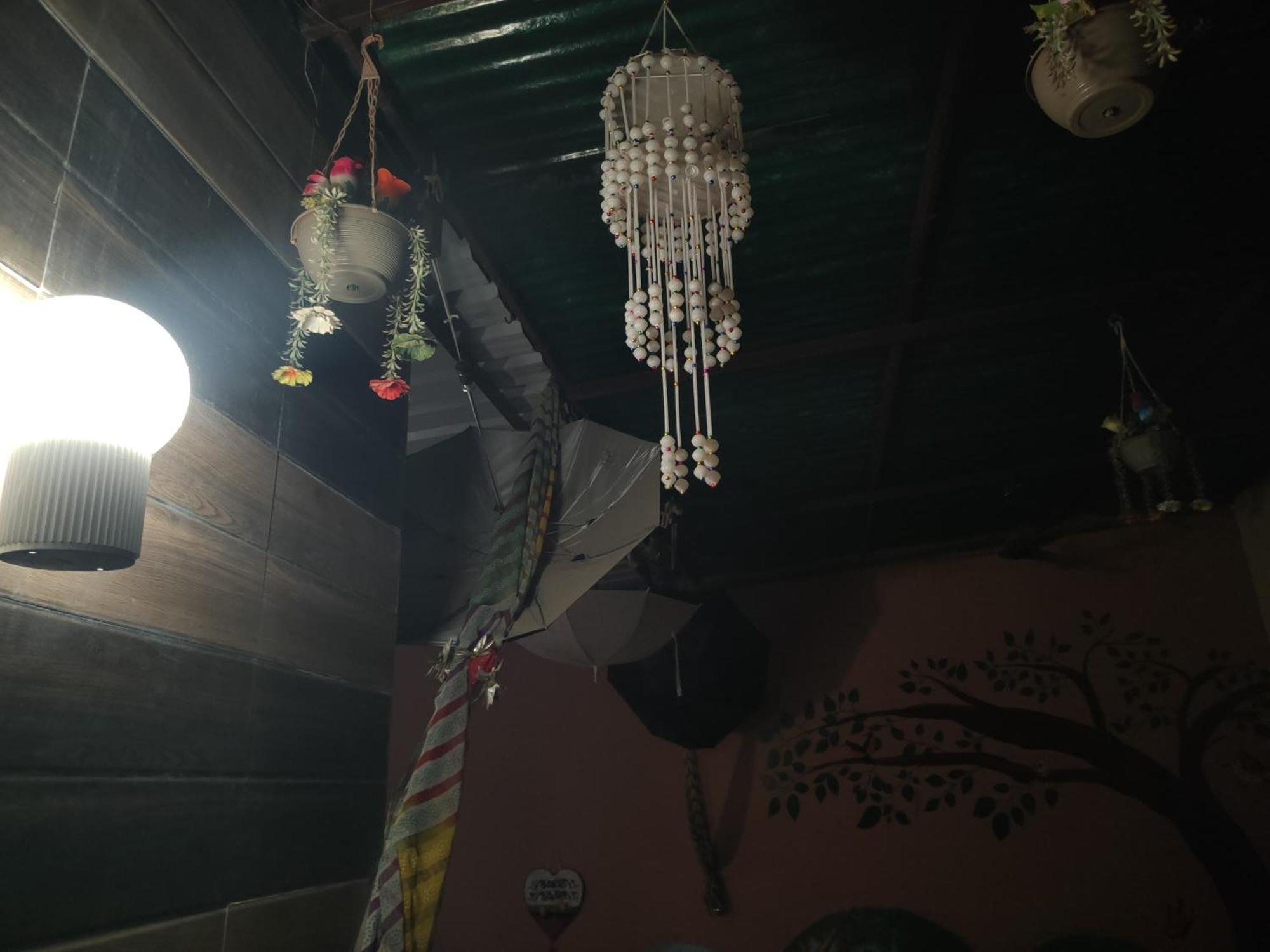 Homestay The House Impact Jodhpur (Rajasthan)