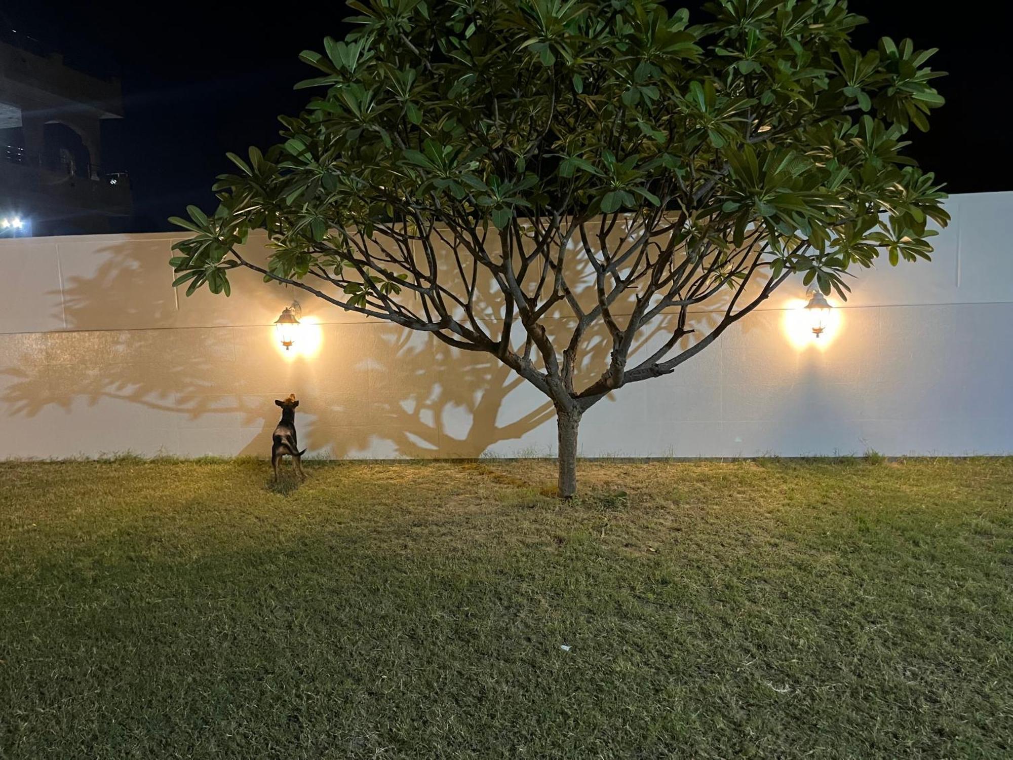 Holiday home White Dune