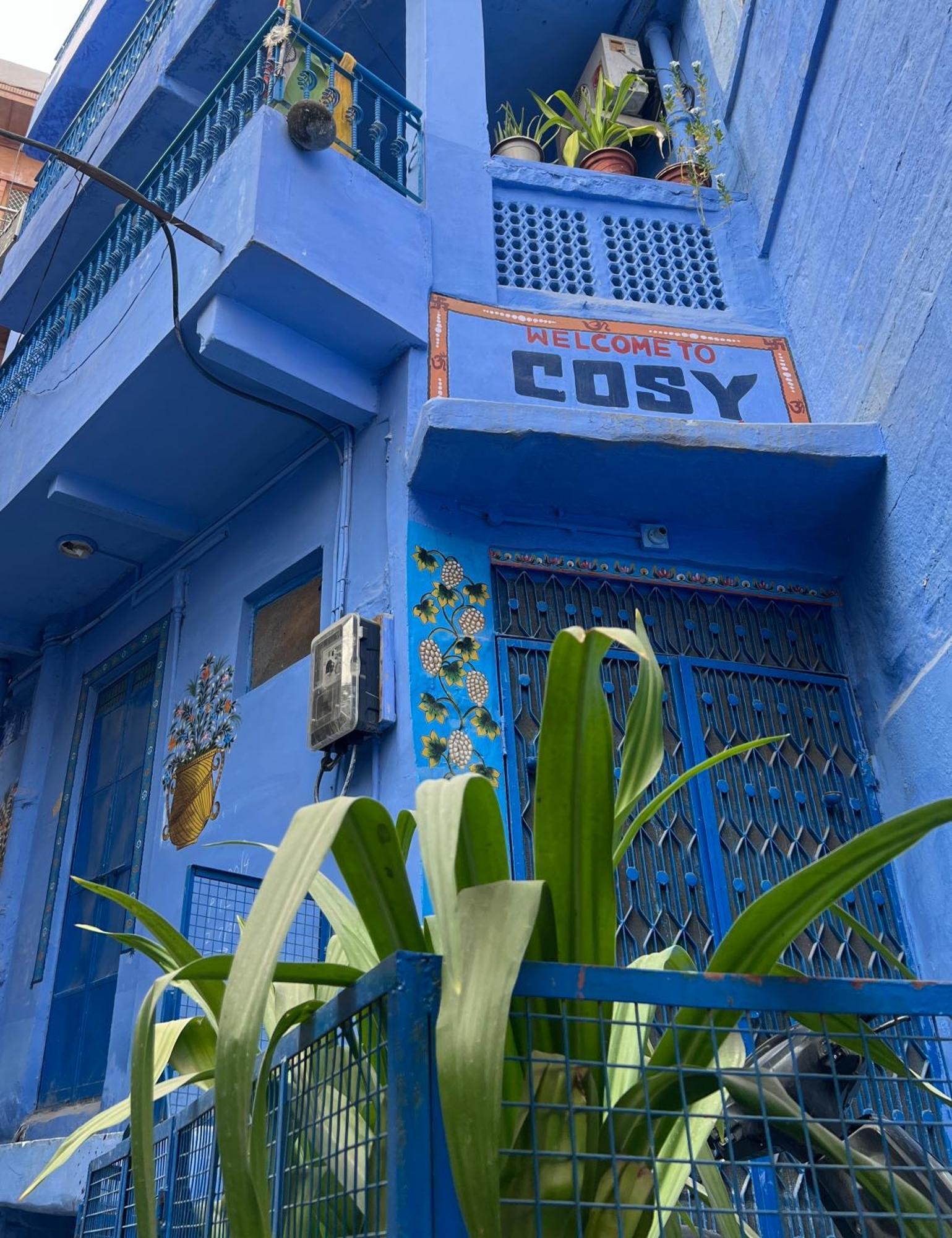 Cosy Homestay *