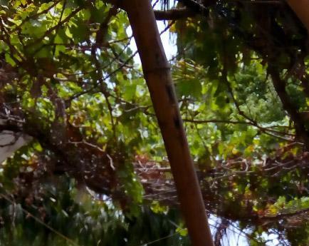 Nature Trail Camps &