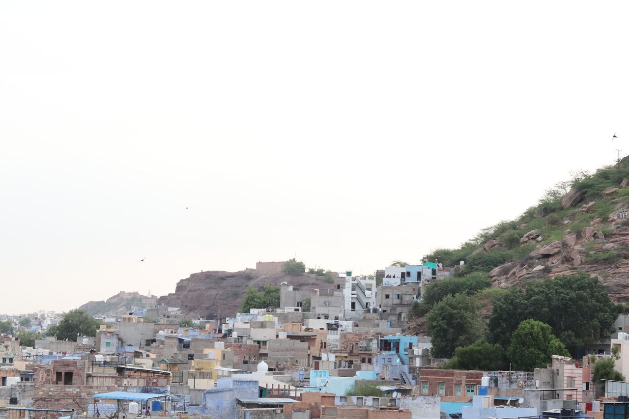 Blue Jodhpur 2*