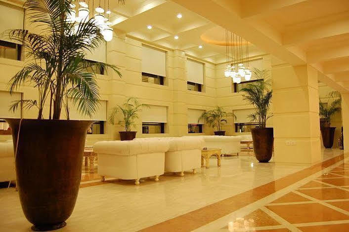 Hotel Mapple Abhay Jodhpur Jodhpur (Rajasthan)