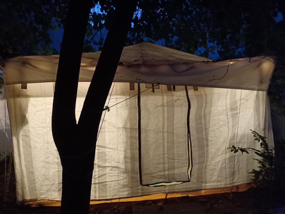 Luxury tent Nature Trail Camps &