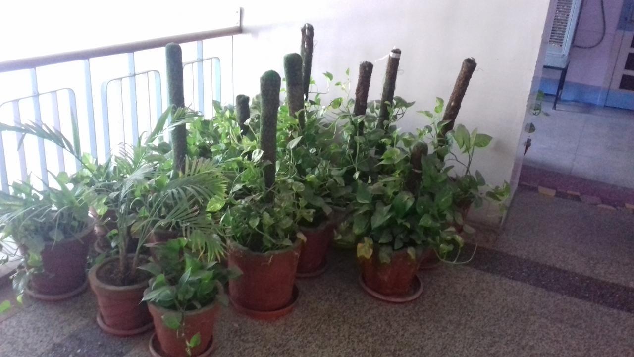 Arun Hotel