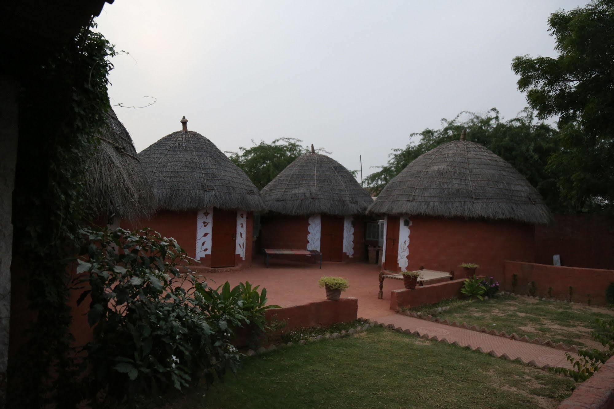 Homestay Chhotaram Prajapat Jodhpur (Rajasthan)