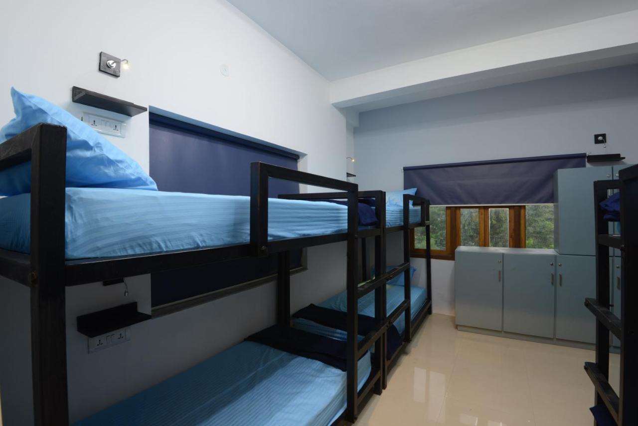Thc Backpackers Jodhpur