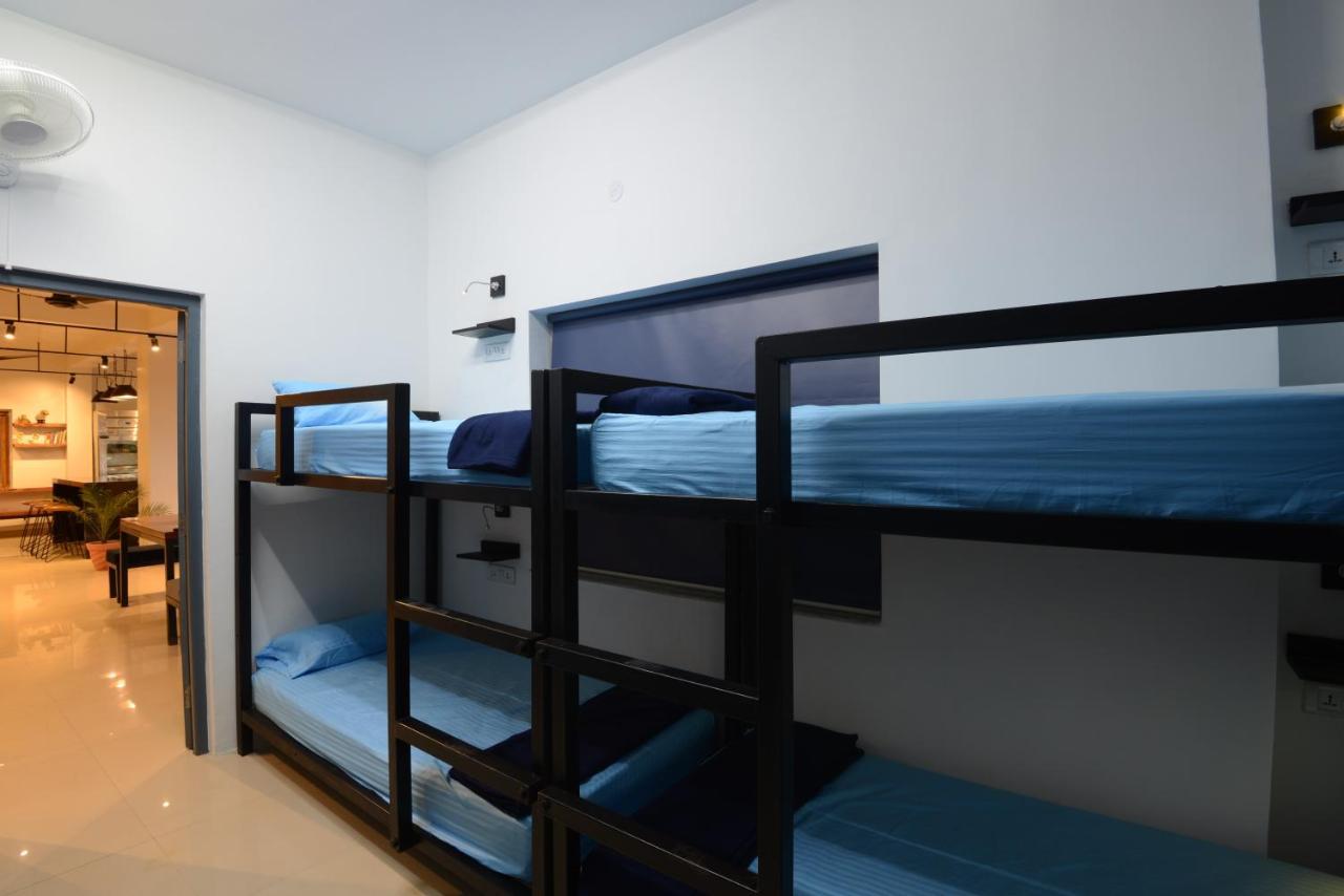 Hostel Thc Backpackers Jodhpur