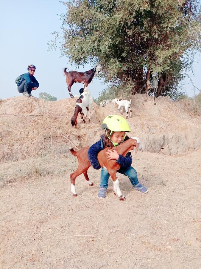 Homestay Chhotaram Prajapat Jodhpur (Rajasthan)