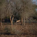 Kot Dunara - A 16Th Century Castle Near Jodhpur