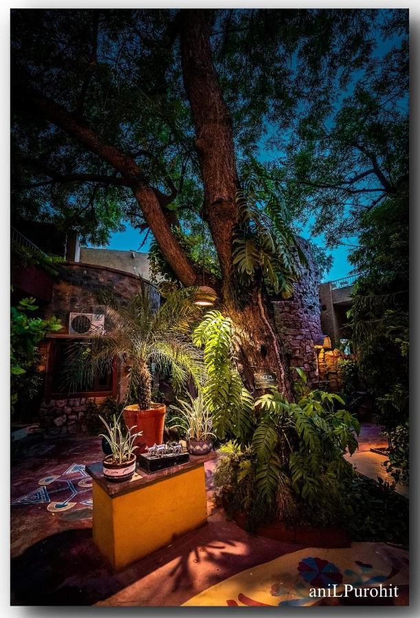 Bed & Breakfast The Mandore - A Leafy 3*
