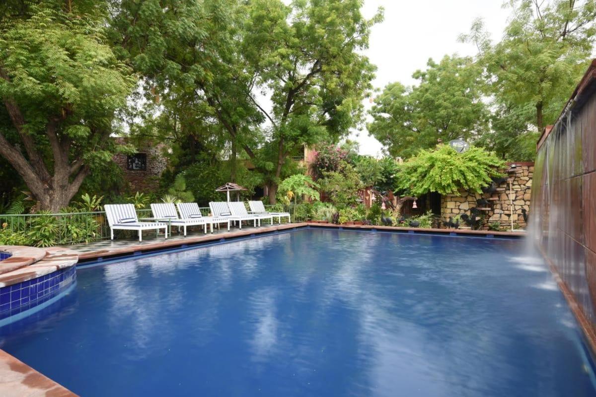 The Mandore - A Leafy 3*