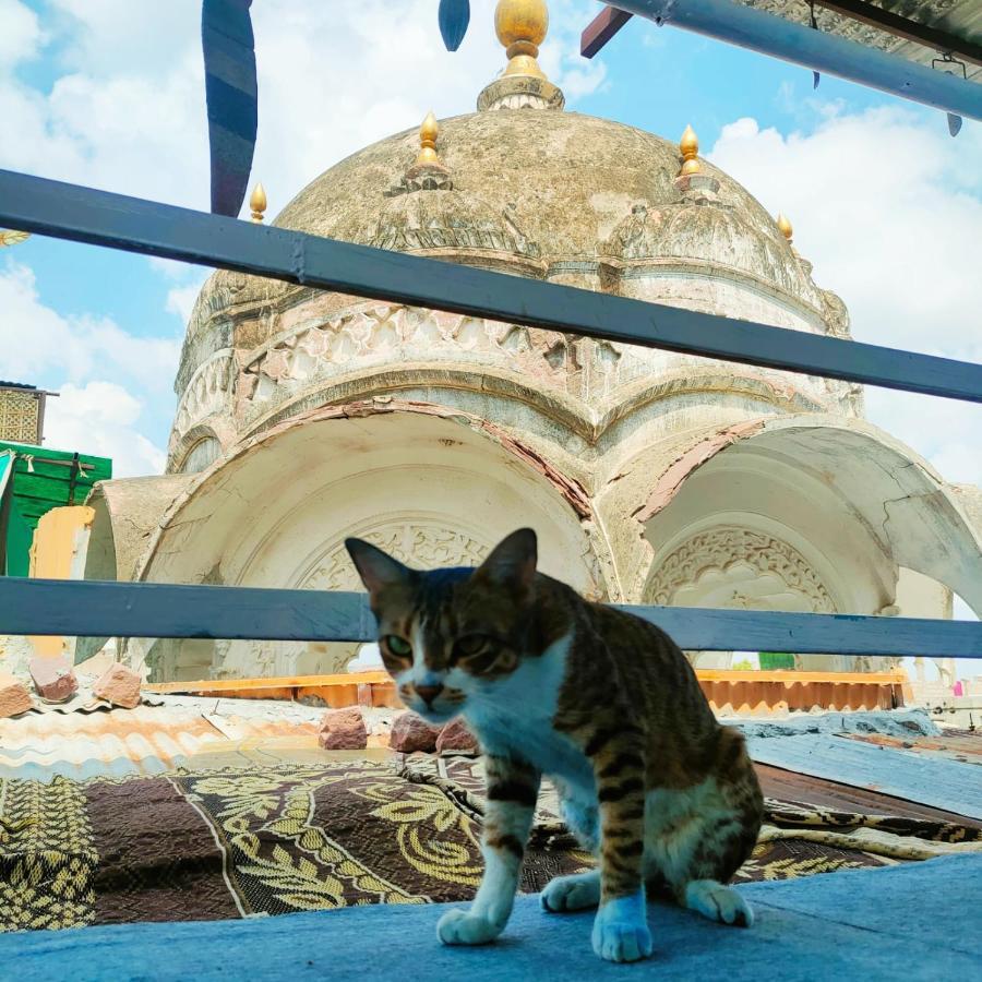 Bob * Jodhpur (Rajasthan)