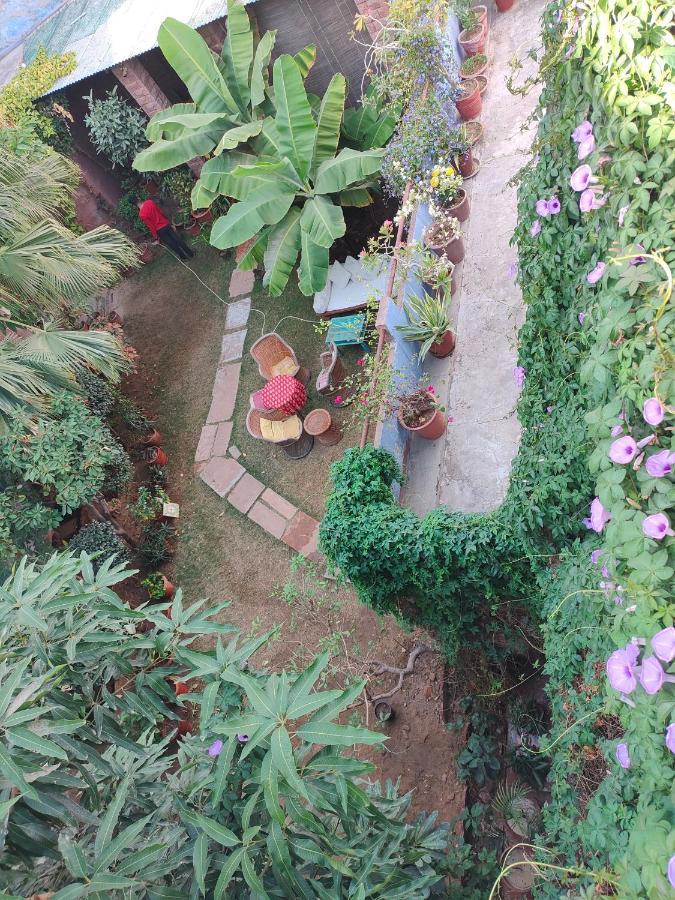 Bristows Haveli Bed & Breakfast Jodhpur (Rajasthan)