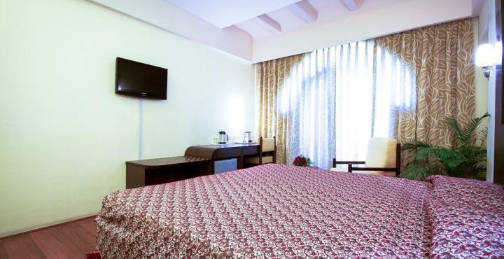 Shree Ram International Hotel 3*