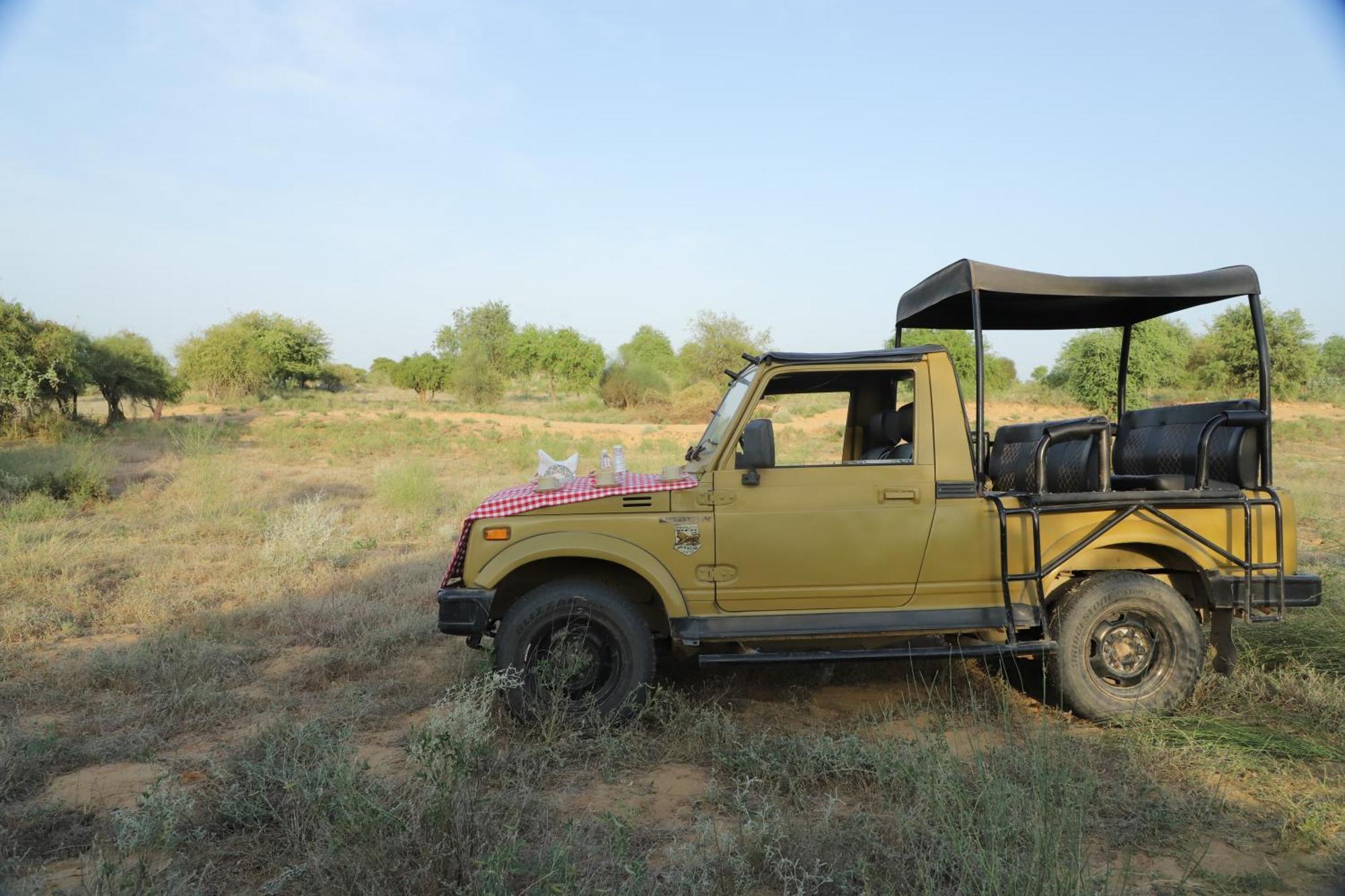 Homestay Kot Dunara - A 16th Century Castle Near Jodhpur *