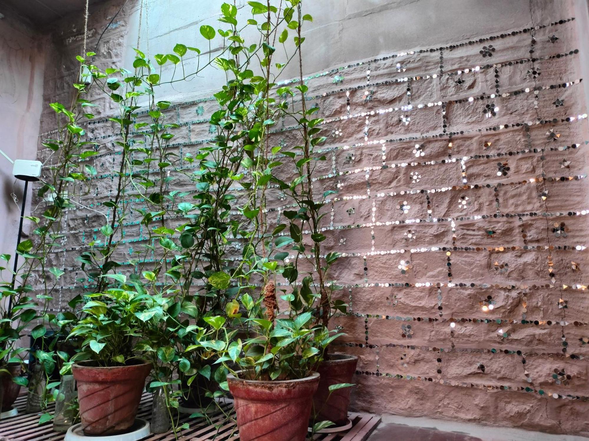 Casa De Jodhpur Guest house Jodhpur (Rajasthan)