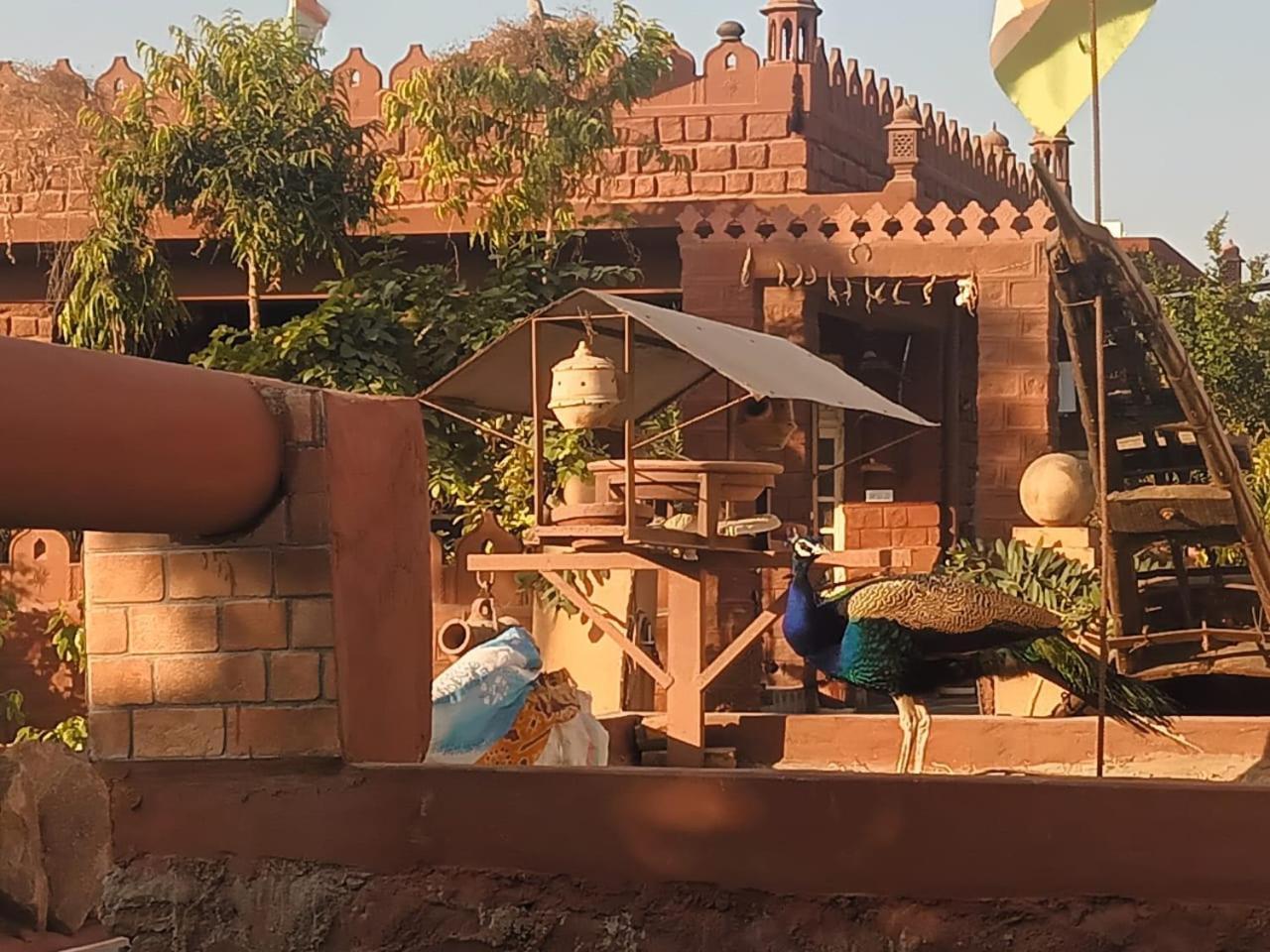 Jakhira Heritage Village Stay, Sajara * Jodhpur (Rajasthan)