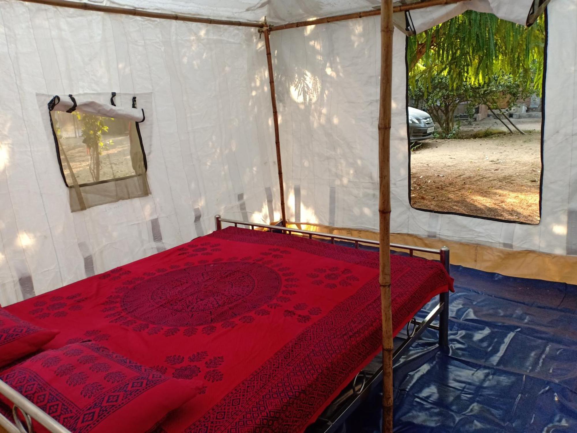Nature Trail Camps & Jodhpur (Rajasthan)