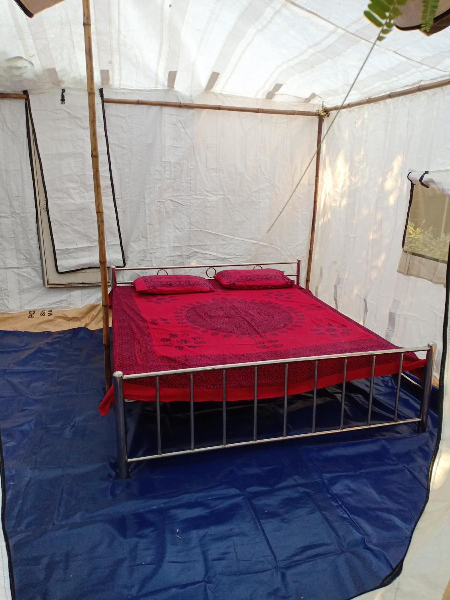 Luxury tent Nature Trail Camps & Jodhpur (Rajasthan)