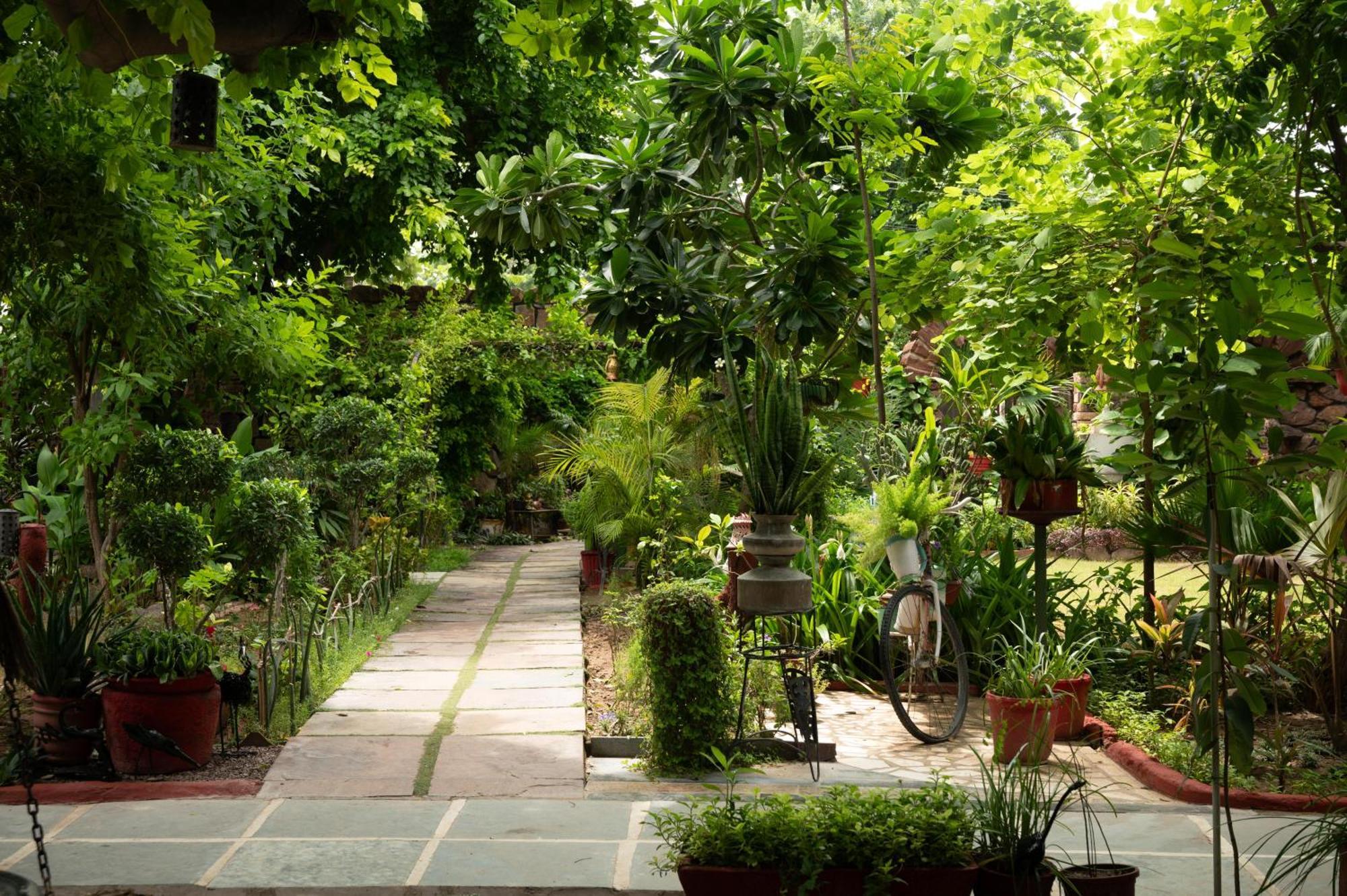 The Mandore - A Leafy 3* Jodhpur (Rajasthan)