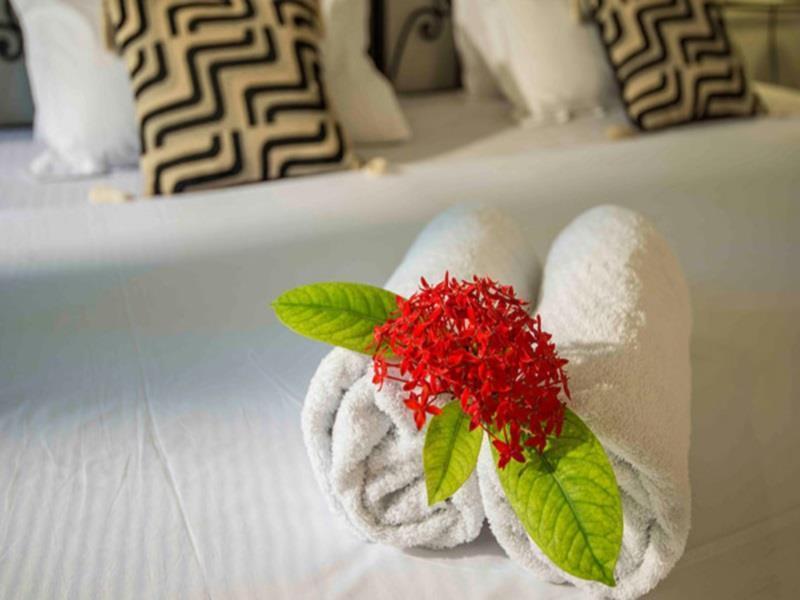 Bed & Breakfast The Mandore - A Leafy