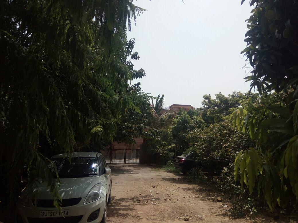 Nature Trail Camps & 3* Jodhpur (Rajasthan)