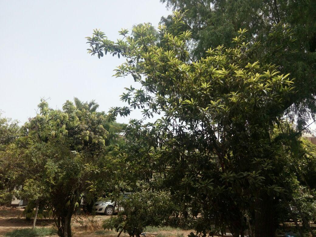 Luxury tent Nature Trail Camps & Jodhpur (Rajasthan)