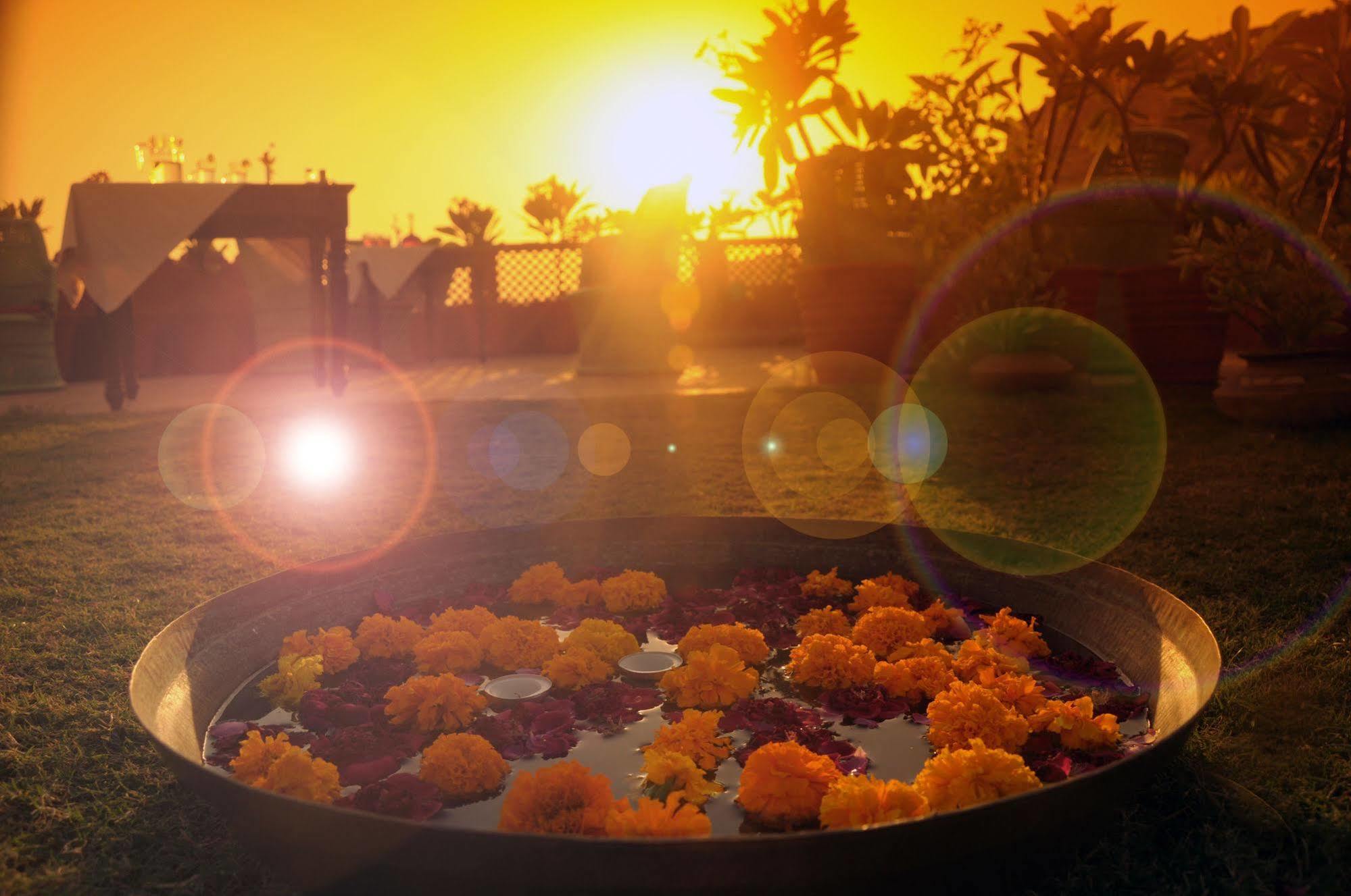 Hotel Haveli Pal Jodhpur (Rajasthan)