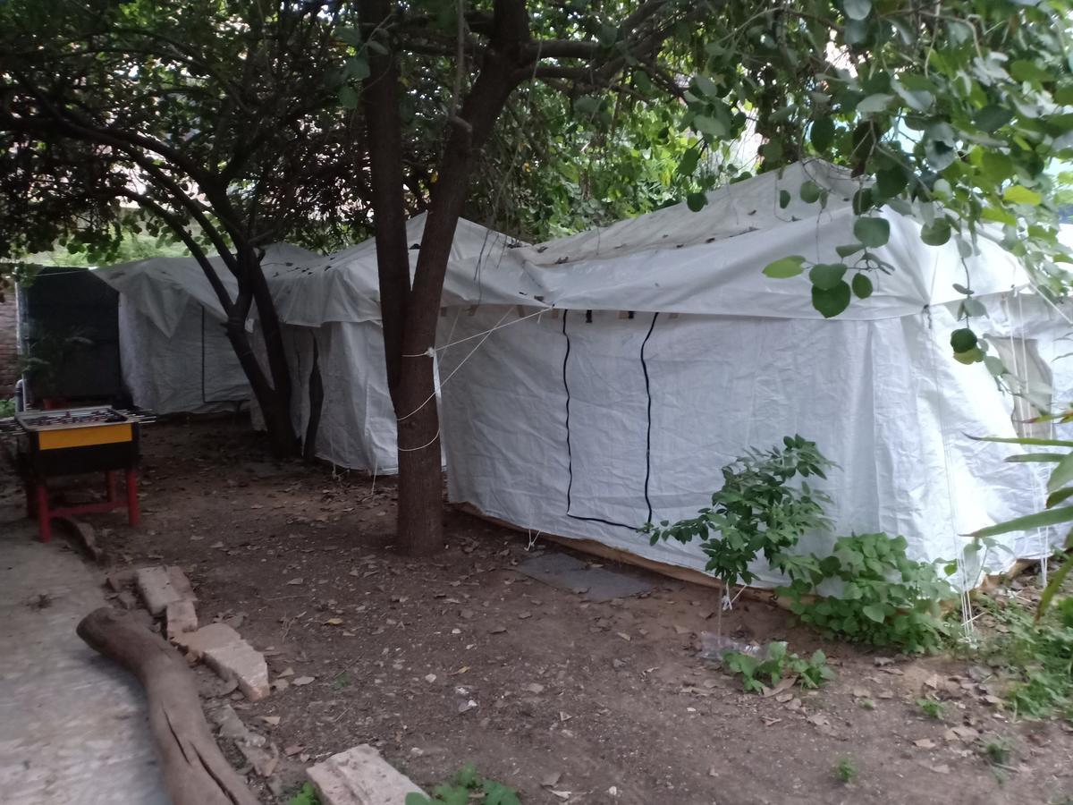 Nature Trail Camps & 3*