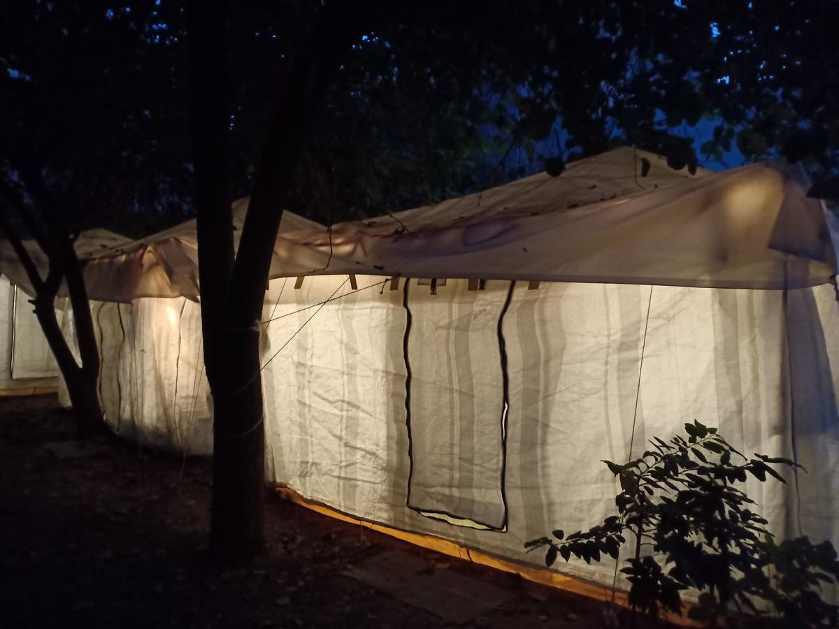 Nature Trail Camps & 3*