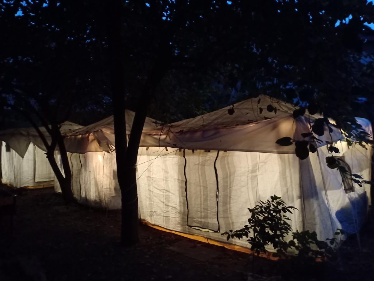 Nature Trail Camps & Luxury tent Jodhpur (Rajasthan)